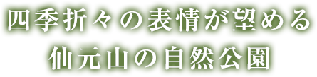 仙元山の自然公園