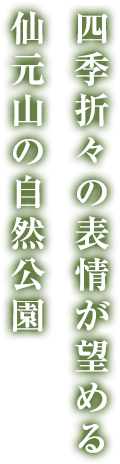 四季折々の表情が望める